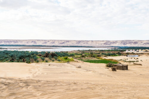 Day Tour To Al-Baharya Oasis