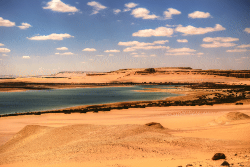Day Tour To Al-Fayoum Oasis